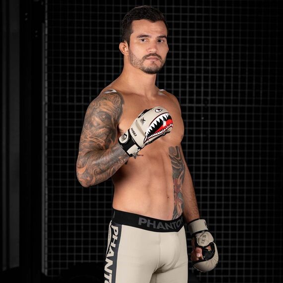 MMA Sparring Gloves, Size: L/XL, Colour: Beige, 4 image