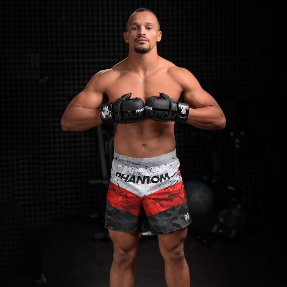 MMA  Sparring Gloves APEX, Taglia: L/XL, Colore: Grigio, 10 image