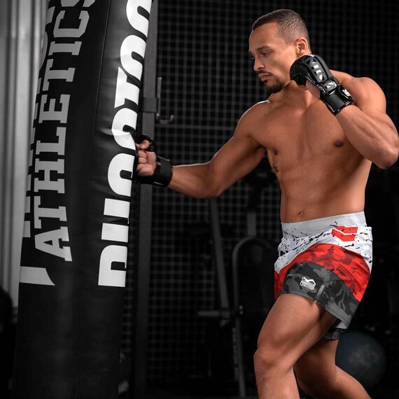 MMA  Sparring Gloves APEX, Taglia: L/XL, Colore: Grigio, 4 image