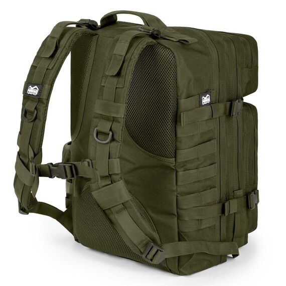 Backpack  DELTA, Colour: Khaki, Volume: 45 L, 2 image