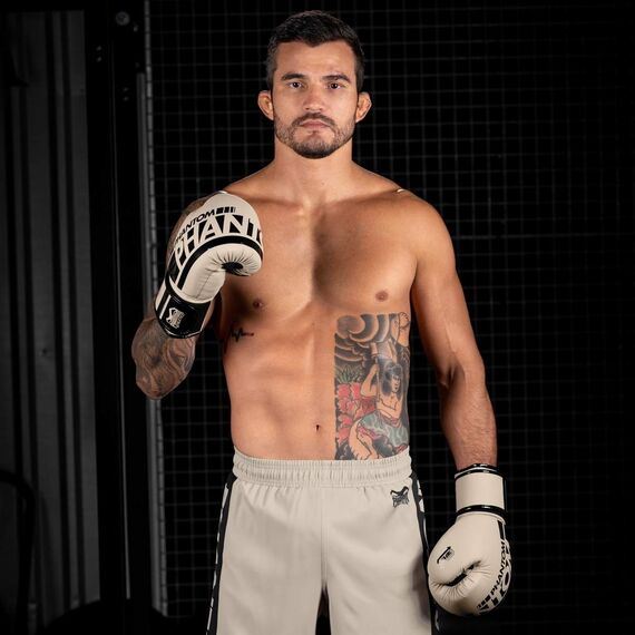 Boxing gloves APEX, Colour: Beige, OZ: 16oz, 4 image