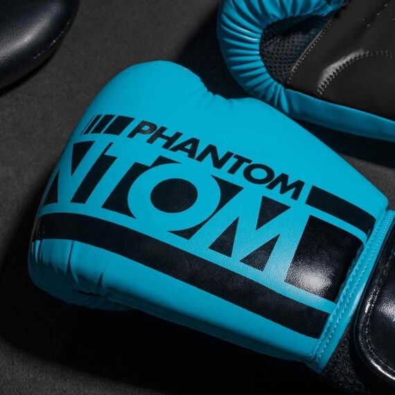 Boxing gloves APEX, Colour: Blue, OZ: 12oz, 4 image