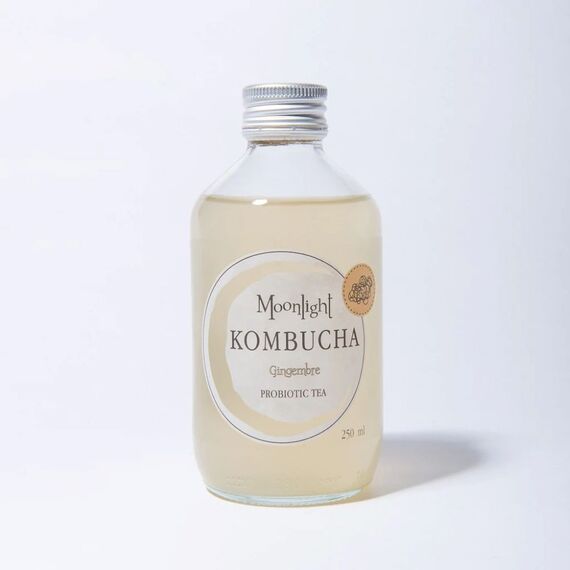 Ginger Kombucha 250ml Moonlight Kombucha (set of 12)