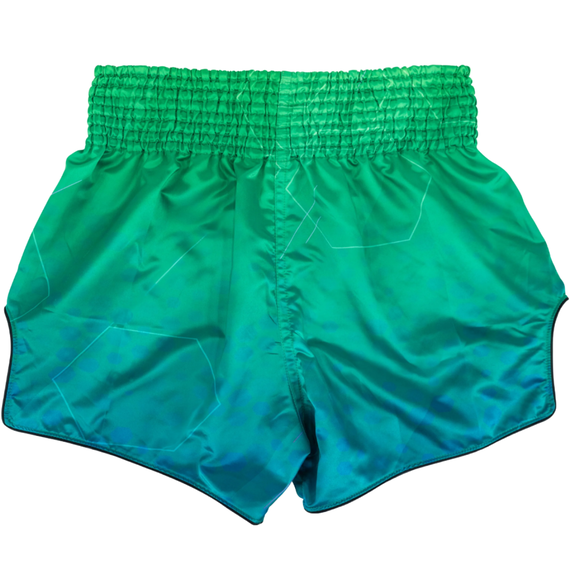 Muay Thai Shorts Fairtex Quantum, Size: L, Colour: Green, 2 image