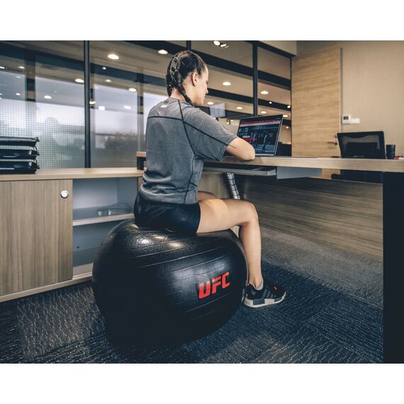 UFC Fitball - 55cm, Size: 55 cm, Colour: Silber, 2 image