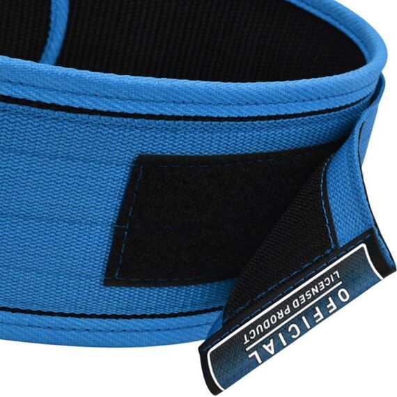Ceinture de Musculation RX1, Taille: L, Couleur: Bleu, 5 image
