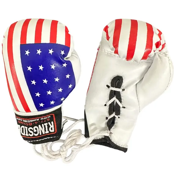 Ringside Miniature Bag Gloves, 2 image