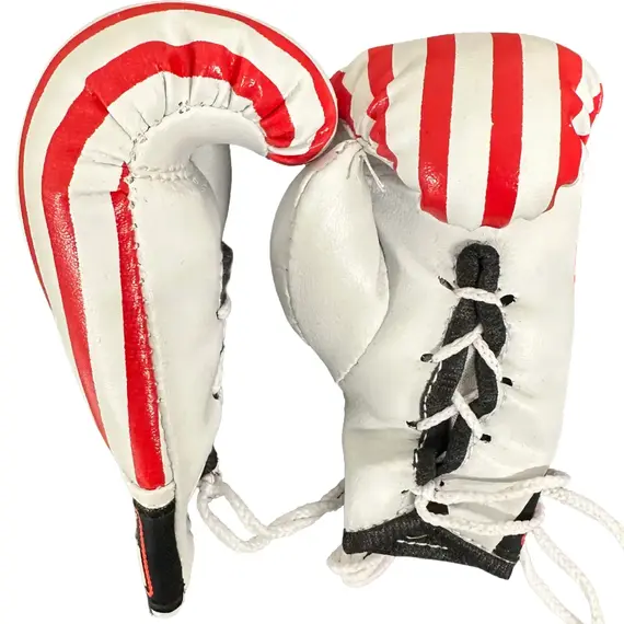 Ringside Miniature Bag Gloves, 5 image