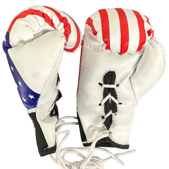 Ringside Miniature Bag Gloves, 3 image