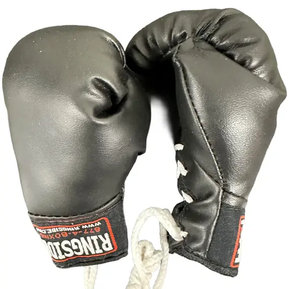 Ringside Miniature Bag Gloves, Taille: Taille unique, Couleur: Noir, 3 image
