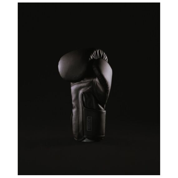 Starter Boxing Gloves – Ideal for Combat Sports Beginners, Colore: Nero, OZ: 10oz, 3 image