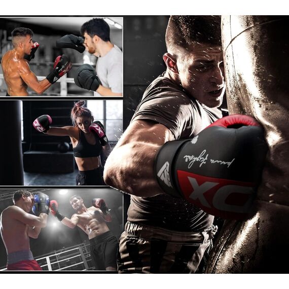 Boxing Gloves Rex F4 – Blue/Black-16OZ, Colour: Blue, OZ: 16oz, 6 image