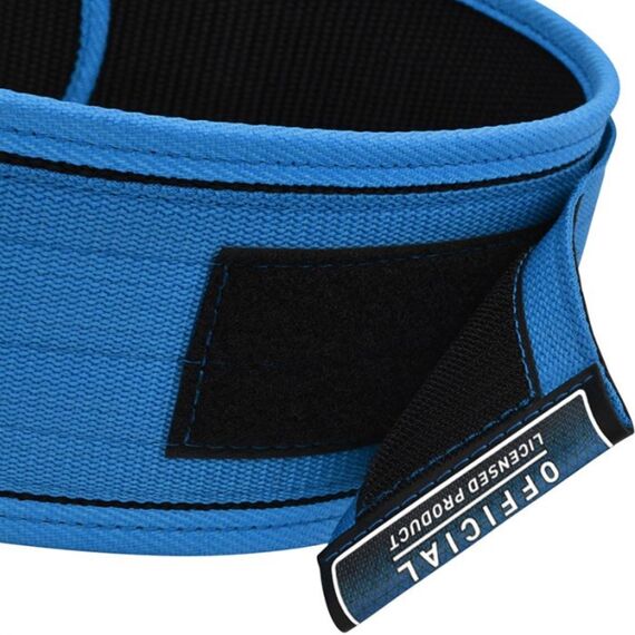 RDX RX1 Weightlifting Belt – Comfort and back support, Taglia: M, Colore: Blu , 5 image