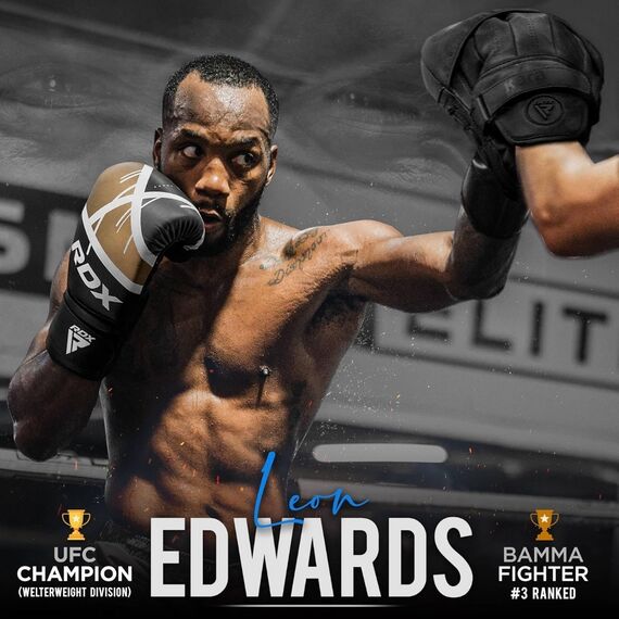 Gants de boxe RDX F7 Ego – Blanc/Rouge – 12oz, Couleur: Rouge, OZ: 12oz, 2 image