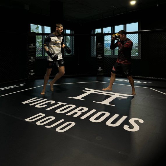 Private Training – 3 Sessions, 5 image