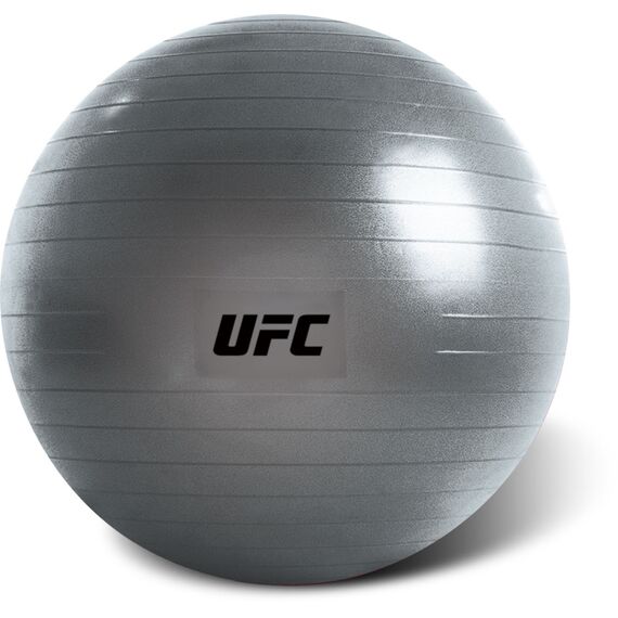 UFC Swiss Ball – 55 cm (Fitball d’entraînement), Taille: 55 cm, Couleur: Argente