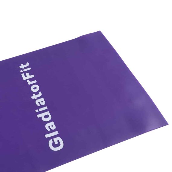 Bande de résistance physiothérapie TPE (sans latex) | Violet, 2 image