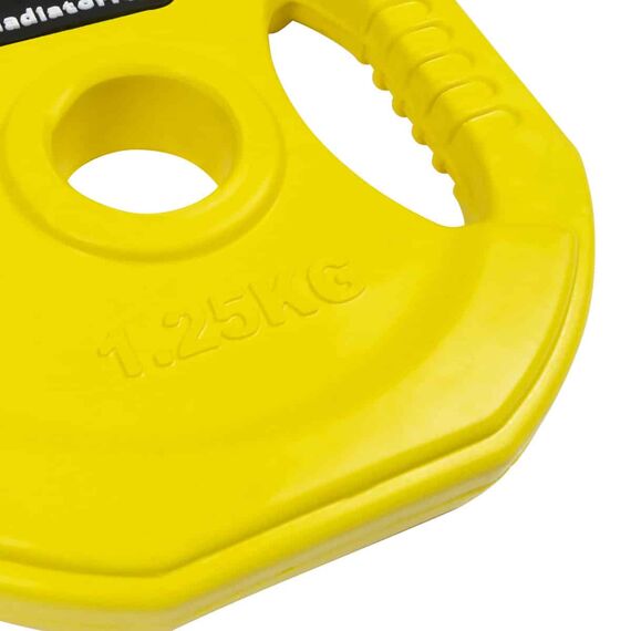 Gewichtsscheiben Pump Gummi und Griffe Ø 31mm (Satz von 2) | 1.25 KG, 3 image