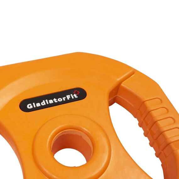 Gewichtsscheiben Pump Gummi und Griffe Ø 31mm (Satz von 2) | 5 KG, 4 image