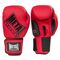 MB221R08-Boxing Gloves Training / Competition
