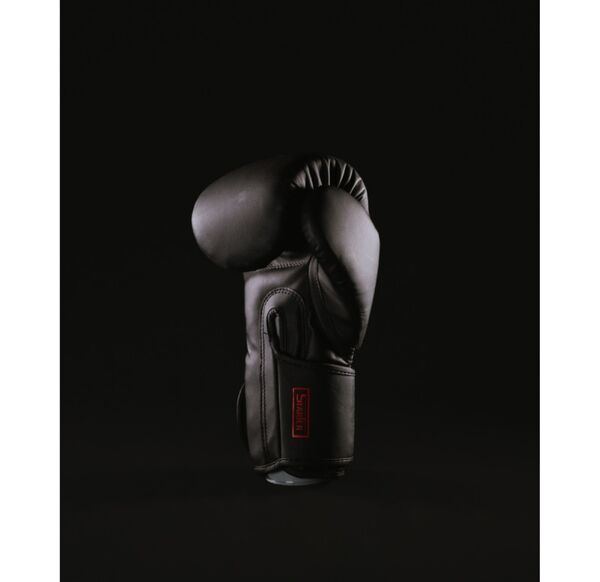 MBGAN110NR10-Starter Boxing Training Gloves