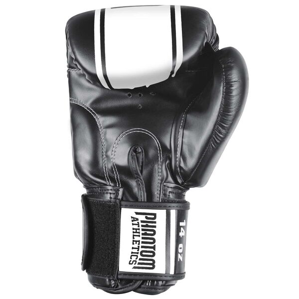 PHBG1652-12-Boxing gloves Elite MT-Pro