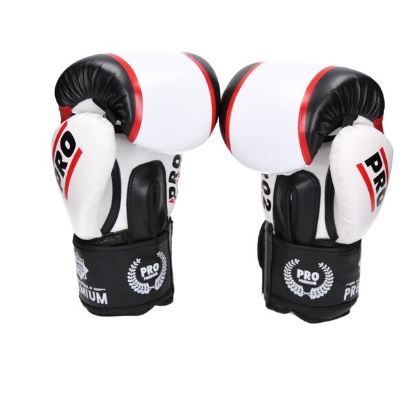 CC1004-CombatCorner Boxing Gloves 14 OZ