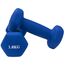 Neoprenhanteln Bodybuilding und Fitness (2er-Set) | 2 x 1 KG, Farbe: Violett, Zusatzgewicht: 1 kg