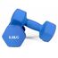 Haltères néoprène musculation et fitness (lot de 2) | 2 x 8 KG, Couleur: Bleu, Poids kg: 8 