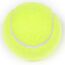 GL-7640344756770-Tennis balls for competitions and trainings (set of 10)