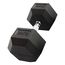 Sechseckige Hantel "Hex Dumbbell" aus Gummi GladiatorFit | 30 KG, Farbe: Schwarz, Zusatzgewicht: 30 kg