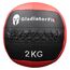Ultra-strapazierfähiger Wall Ball aus Kunstleder | 2 KG, Farbe: Schwarz, Zusatzgewicht: 2 kg