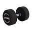 Round rubber dumbbell | 27.5 KG