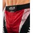 VE-04059-003-S-Venum x ONE FC Fightshorts - Red