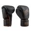 MBGAN300N10-Apollon Leather Boxing Gloves
