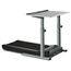TR1200-DT5" treadmill with work surface LifeSpan Fitness | 122 CM