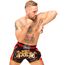 8 Weapons Muay Thai Shorts Super Mesh - Ancient, Colore: Rosso , Size: M, 4 image