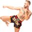 8 Weapons Muay Thai Shorts Super Mesh - Ancient, Colour: Rot, Size: XL, 6 image