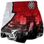 8 Weapons Muay Thai Shorts Lightning, Colore: Rosso , Size: XXL, 2 image