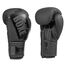 Boxhandschuhe Paint, Farbe: Schwarz, OZ: 12oz