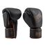 Apollon Leather Boxing Gloves, Colour: Schwarz, OZ: 10oz