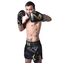 Boxhandschuhe - Premium black-gold 10 Oz, Farbe: Schwarz, OZ: 10oz, 9 image