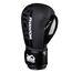 Boxing gloves APEX Speed, Colour: Schwarz, OZ: 14oz, 2 image