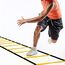 Echelle de rythme et vitesse relevable en haies | 3 M, 3 image