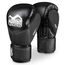 PHBG2540-16-Boxing gloves RIOT Pro