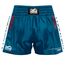 PHSHO2844-L-Muay Thai Shorts Apex