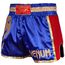 Short de Muay Thai Venum Giant - Bleu Marine/Doré, Couleur: Bleu, Taille ne pas utiliser: XL, 2 image