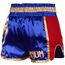 Short de Muay Thai Venum Giant - Bleu Marine/Doré, Couleur: Bleu, Taille ne pas utiliser: XL, 4 image