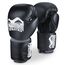 Boxhandschuhe Elite ATF, Farbe: Schwarz, OZ: 10oz