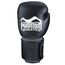 Boxhandschuhe Elite ATF, Farbe: Schwarz, OZ: 10oz, 2 image